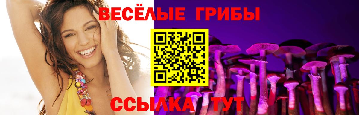 где продают наркотики  Галлюциногенные грибы MAGIC MUSHROOMS  Галлюциногенные грибы GOLDEN TEACHER  Вход с VPN  Аргун 